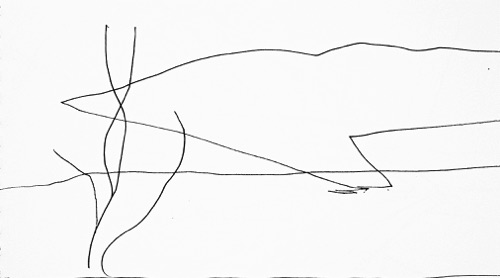 Halema'uma'u Crater and Ohia Tree Drawing, 4 3/8" x 7 5/8", ink on paper, 2012. Halema'uma'u Crater and Ohia Tree Drawing, 4 3/8" x 7 5/8", ink on paper, 2012.